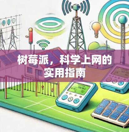 树莓派，科学上网的实用指南