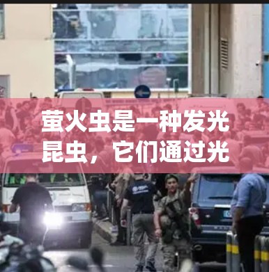 萤火虫是一种发光昆虫，它们通过光反应和光合作用在特定 wavelength 下发光，这是它们在自然环境中观察到的独特现象。萤火虫科学可以研究其发光机制、生命行为以及与发光相关的科学问题