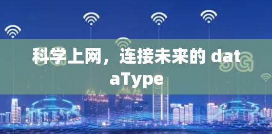 科学上网，连接未来的 dataType