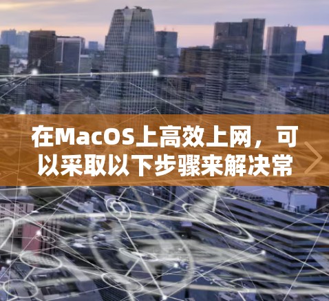 在MacOS上高效上网，可以采取以下步骤来解决常见的问题