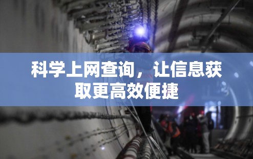 科学上网查询，让信息获取更高效便捷