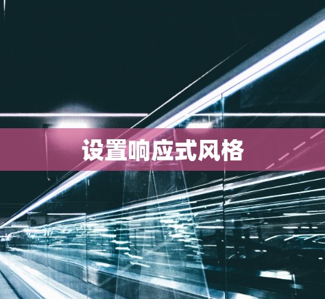 设置响应式风格