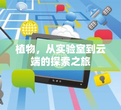 植物,从实验室到云端的探索之旅 植物,从实验室到云端的探索之旅