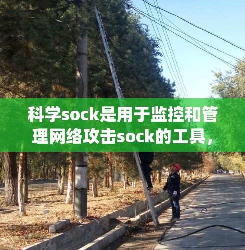 科学sock是用于监控和管理网络攻击sock的工具，旨在保护用户和系统免受恶意流量攻击。以下是对科学sock的详细解释