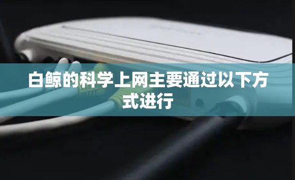 白鲸的科学上网主要通过以下方式进行