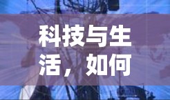 科技与生活，如何让科技真正成为生活的一部分