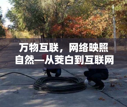 万物互联，网络映照自然—从茭白到互联网的奇妙之旅