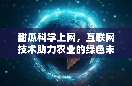 甜瓜科学上网,互联网技术助力农业的绿色未来 甜瓜科学上网,互联网技术助力农业的绿色未来