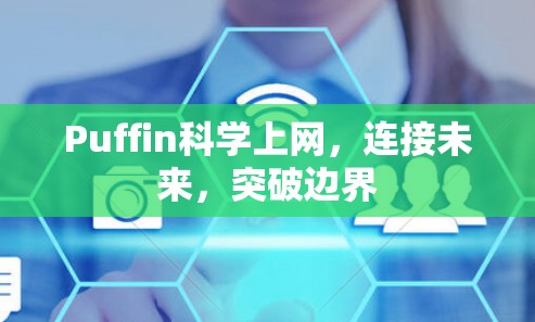 Puffin科学上网,连接未来,突破边界 Puffin科学上网,连接未来,突破边界