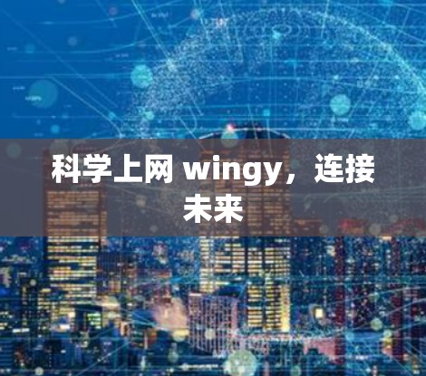 科学上网 wingy，连接未来