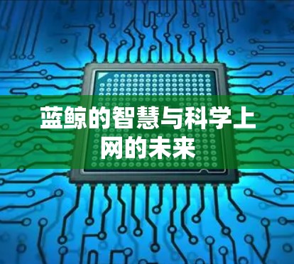 蓝鲸的智慧与科学上网的未来 蓝鲸的智慧与科学上网的未来