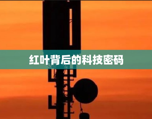 红叶背后的科技密码 红叶背后的科技密码