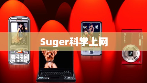 Suger科学上网 Suger科学上网