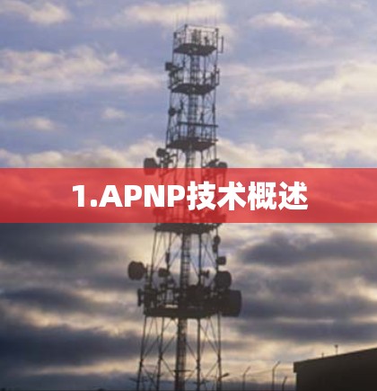 1.APNP技术概述