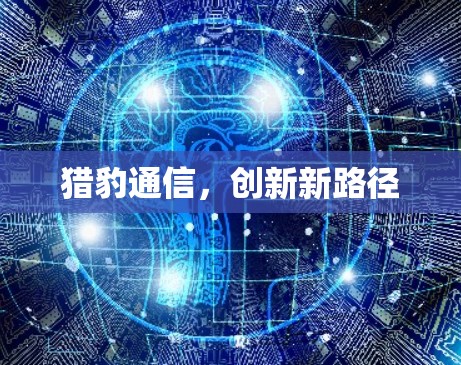 猎豹通信,创新新路径 猎豹通信,创新新路径