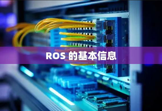 ROS 的基本信息