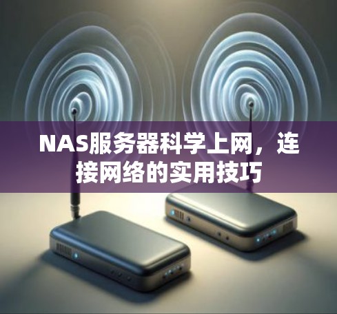 NAS服务器科学上网，连接网络的实用技巧