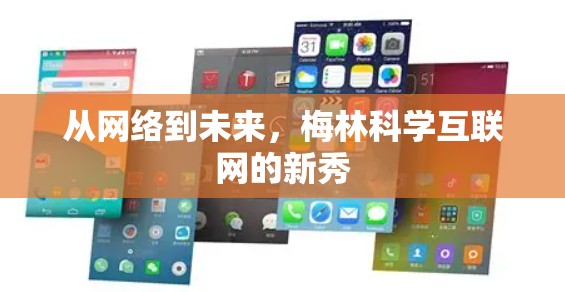 从网络到未来，梅林科学互联网的新秀