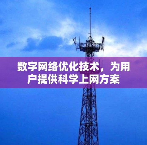 数字网络优化技术，为用户提供科学上网方案