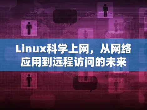 Linux科学上网，从网络应用到远程访问的未来展望