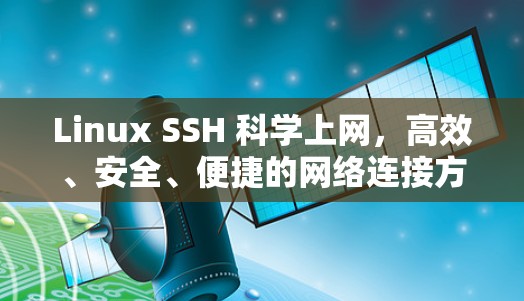 Linux SSH 科学上网，高效、安全、便捷的网络连接方案