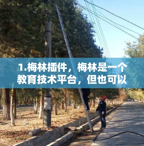 1.梅林插件，梅林是一个教育技术平台，但也可以用于集成到其他工具中，例如办公软件，以提供科学计算功能