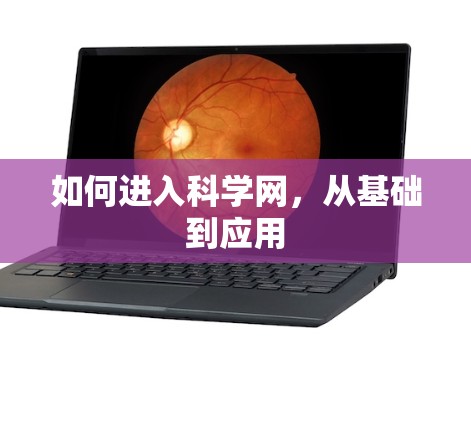 如何进入科学网，从基础到应用