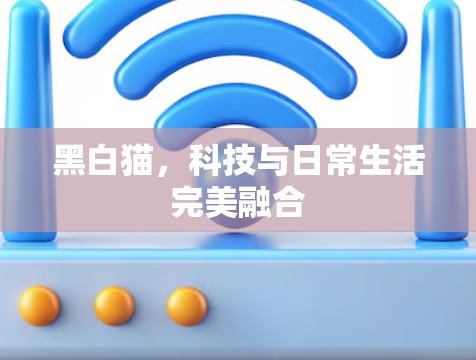 黑白猫，科技与日常生活完美融合