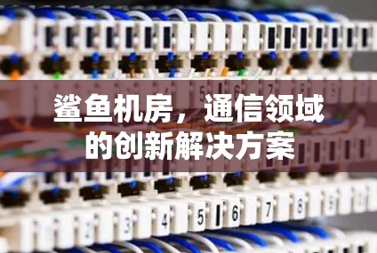 鲨鱼机房，通信领域的创新解决方案