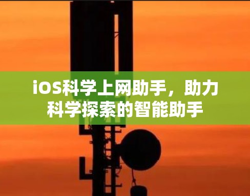 iOS科学上网助手，助力科学探索的智能助手