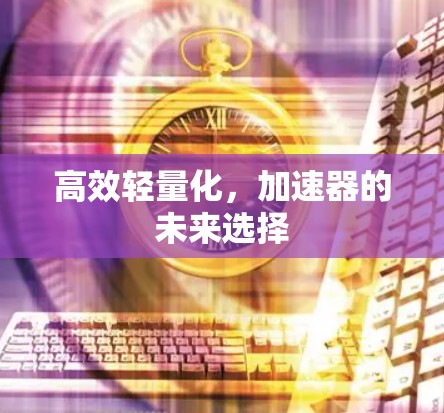 高效轻量化，加速器的未来选择