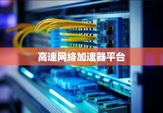 高速网络加速器平台