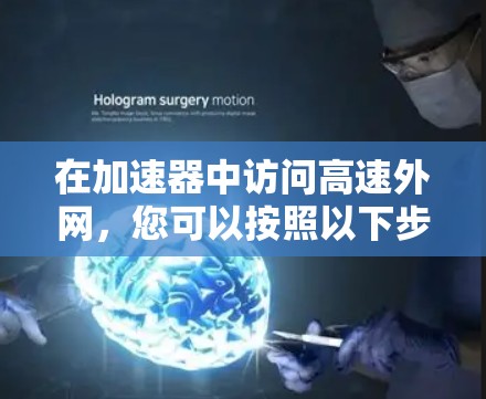 在加速器中访问高速外网，您可以按照以下步骤操作