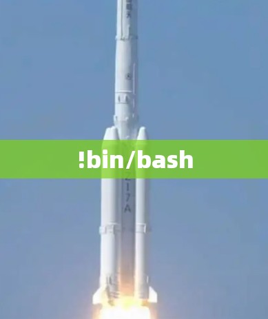 !bin/bash