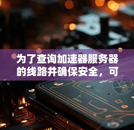 为了查询加速器服务器的线路并确保安全，可以按照以下步骤进行