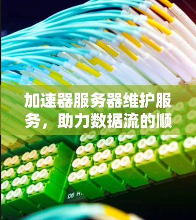 加速器服务器维护服务，助力数据流的顺畅运行