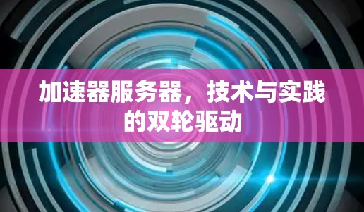 加速器服务器，技术与实践的双轮驱动