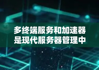 多终端服务和加速器是现代服务器管理中的关键技术，以下是详细的总结和建议