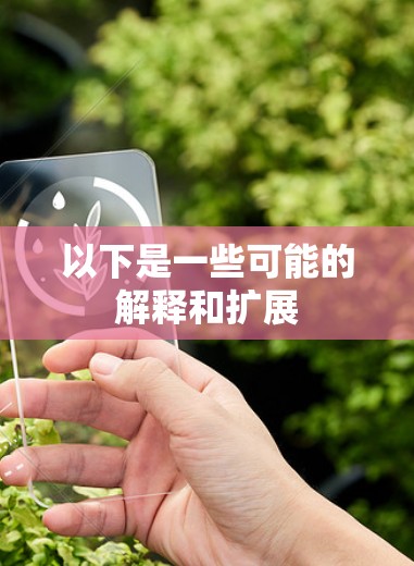 以下是一些可能的解释和扩展