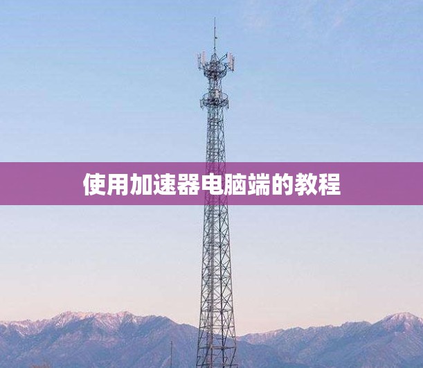 使用加速器电脑端的教程