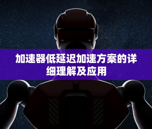 加速器低延迟加速方案的详细理解及应用