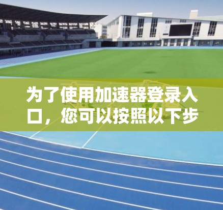 为了使用加速器登录入口，您可以按照以下步骤操作