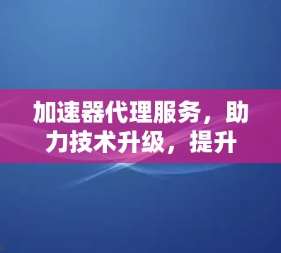 加速器代理服务，助力技术升级，提升效率