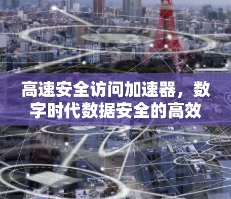 高速安全访问加速器，数字时代数据安全的高效保障