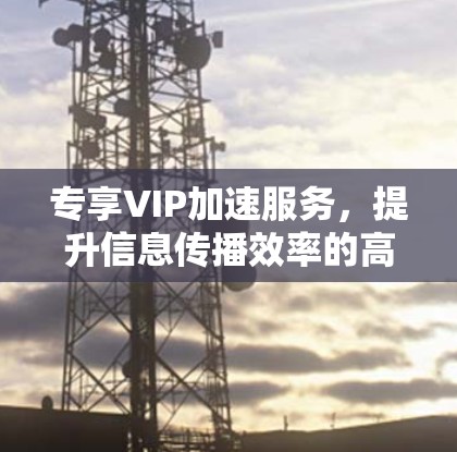 专享VIP加速服务，提升信息传播效率的高效选择