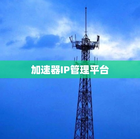加速器IP管理平台