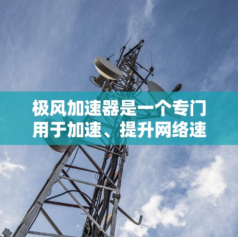 极风加速器是一个专门用于加速、提升网络速度和处理文件的工具。如果你想要下载或使用极风加速器，以下是一些可能的下载链接和步骤说明