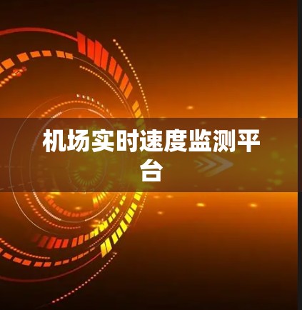 机场实时速度监测平台