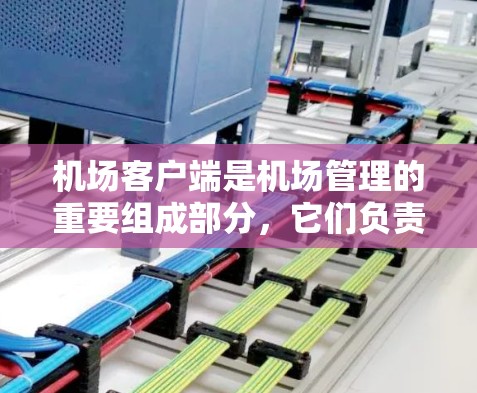 机场客户端是机场管理的重要组成部分，它们负责为旅客提供必要的服务和管理信息，确保旅客的安全和机场的顺利运行。以下是对机场客户端的详细介绍