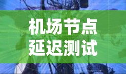 机场节点延迟测试平台是一种用于评估机场网络在不同时间点延迟程度的工具，旨在帮助机场管理人员优化网络性能。以下是对该平台的详细总结